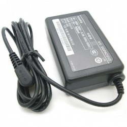 Original 10W Sony SGP-AC5V2...